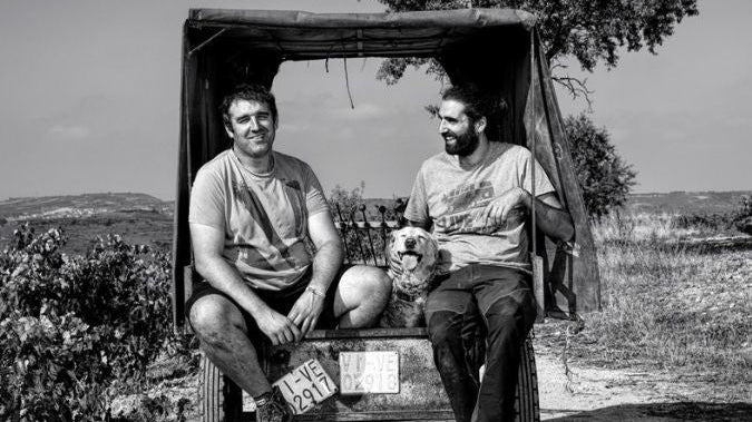 Bodegas Artuke vineyards in Rioja Alavesa