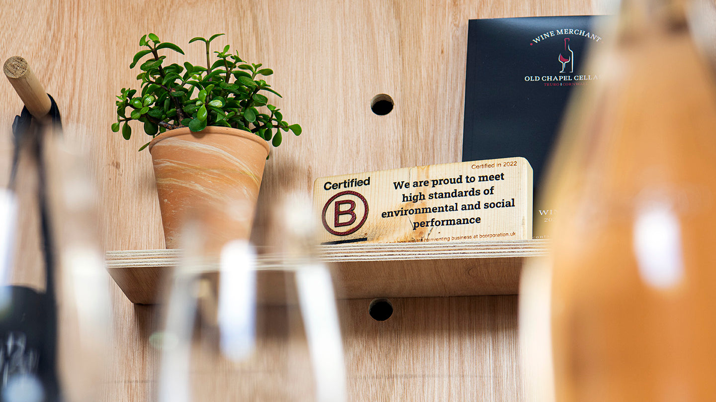 B Corp Month: What it means to us