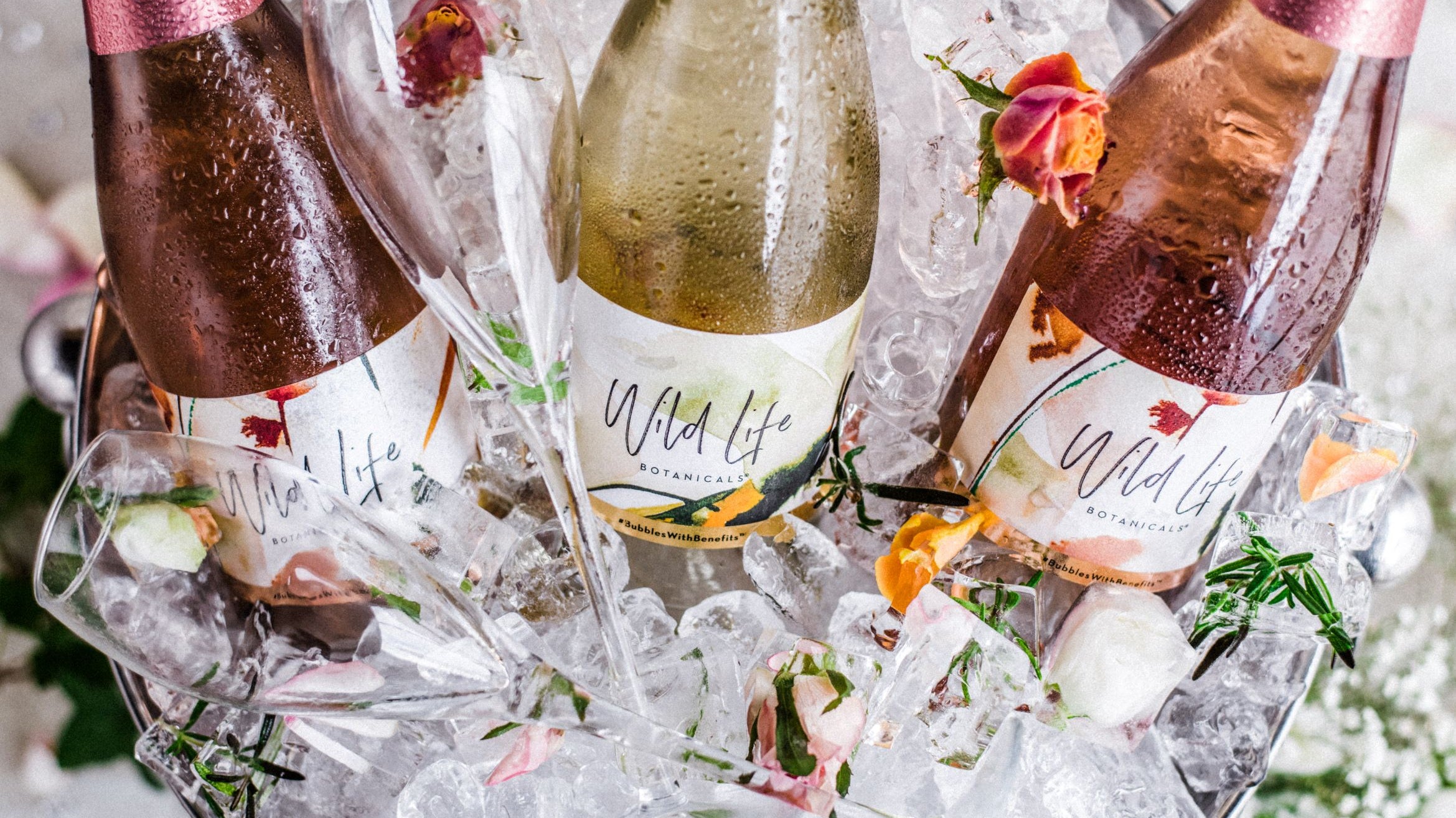 Wild Life Botanics: A trailblazing 'nolo' made in Cornwall!