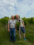 Chateau Haut Pougnan 4