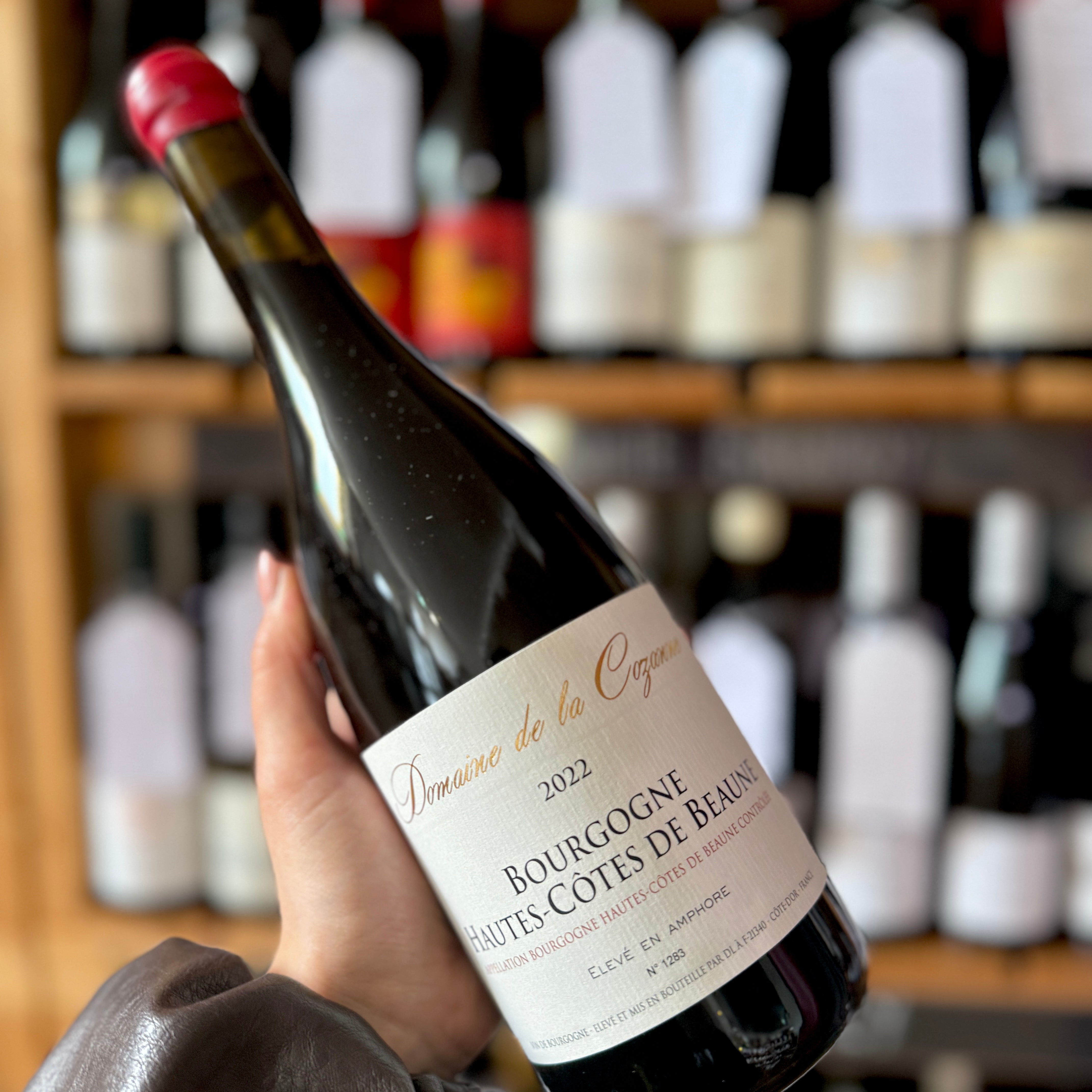 Hautes Cotes de Beaune Rouge En Amphore, Domaine Cozanne