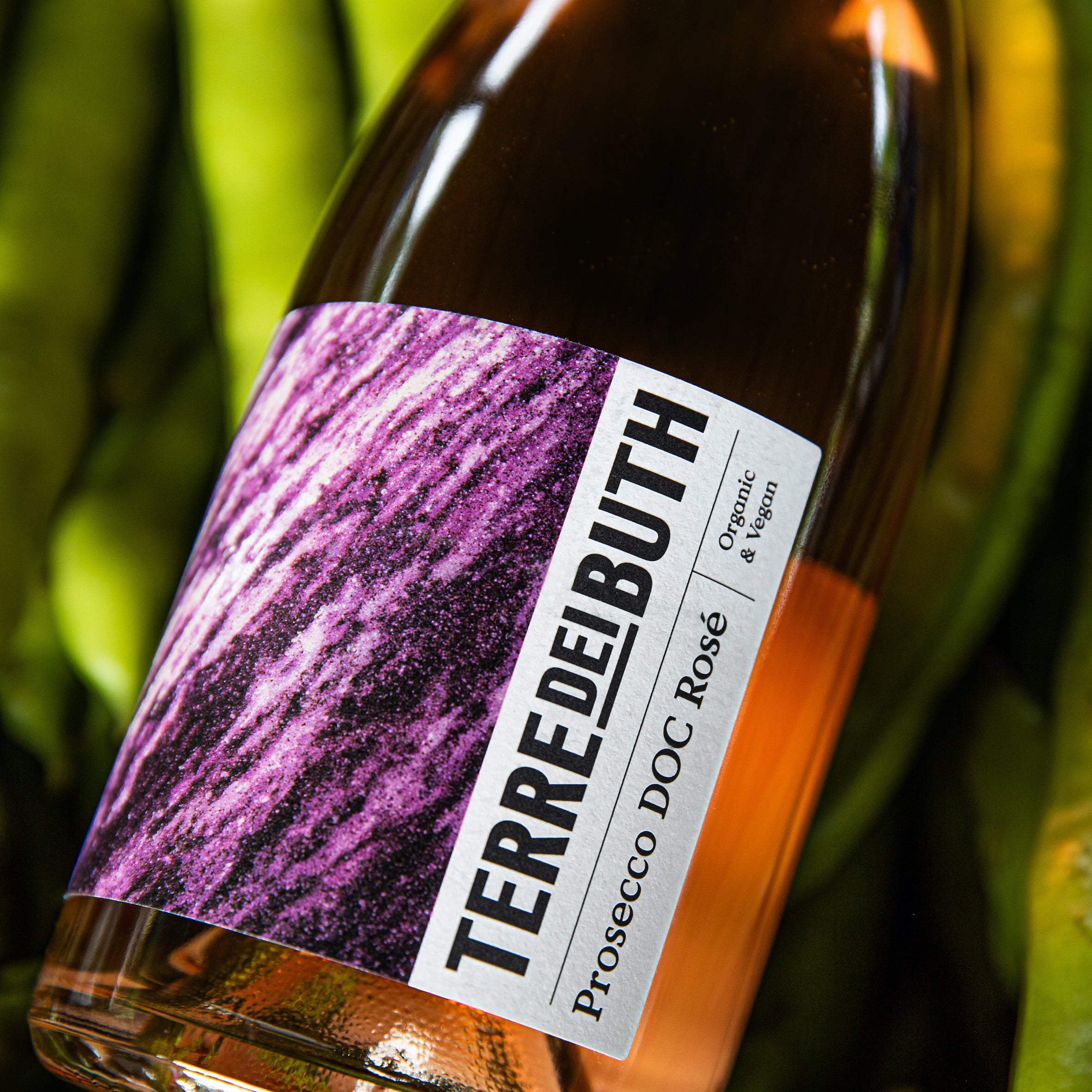 Terre dei Buth Rose Spumante Prosecco DOC