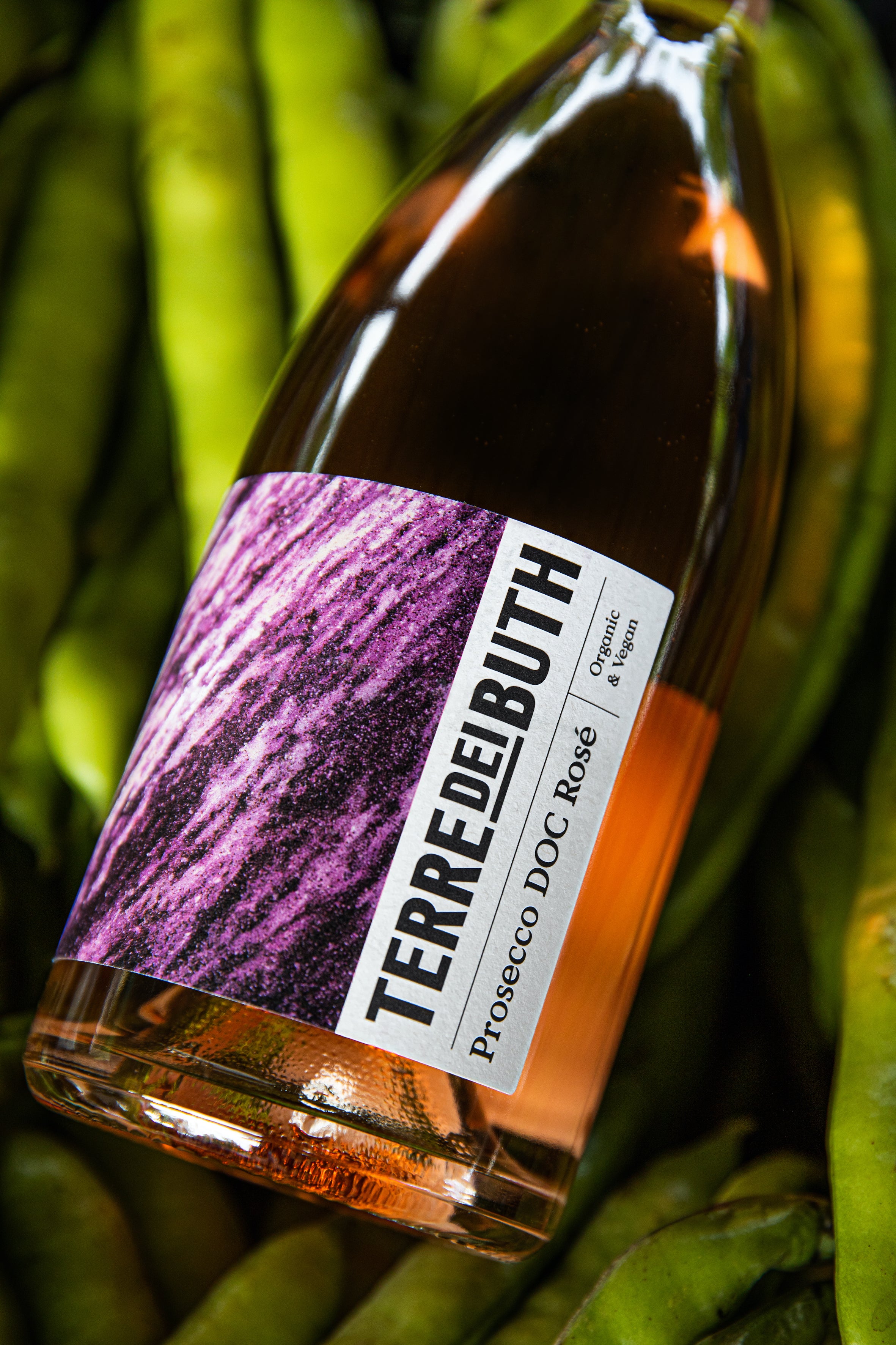 Terre dei Buth Rose Spumante Prosecco DOC