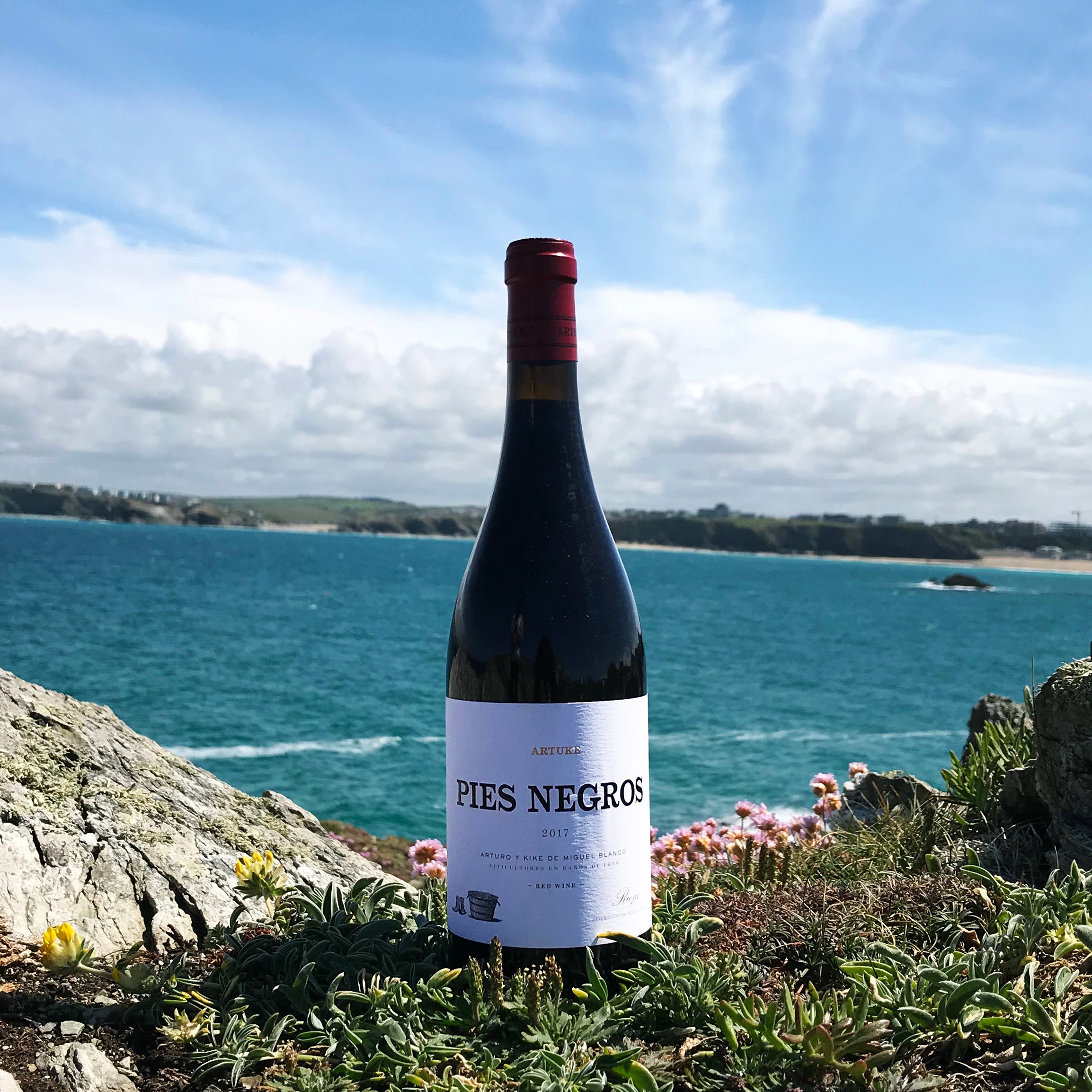 Pies Negros Rioja, Artuke, Red wine from Spain