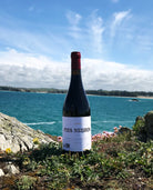 Pies Negros Rioja, Artuke, Red wine from Spain