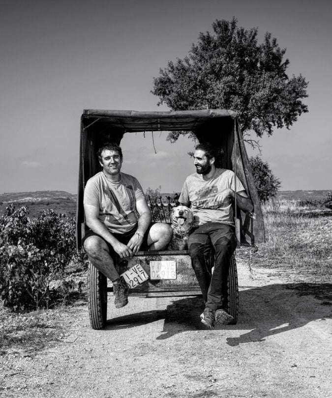 Bodegas Artuke vineyards in Rioja Alavesa