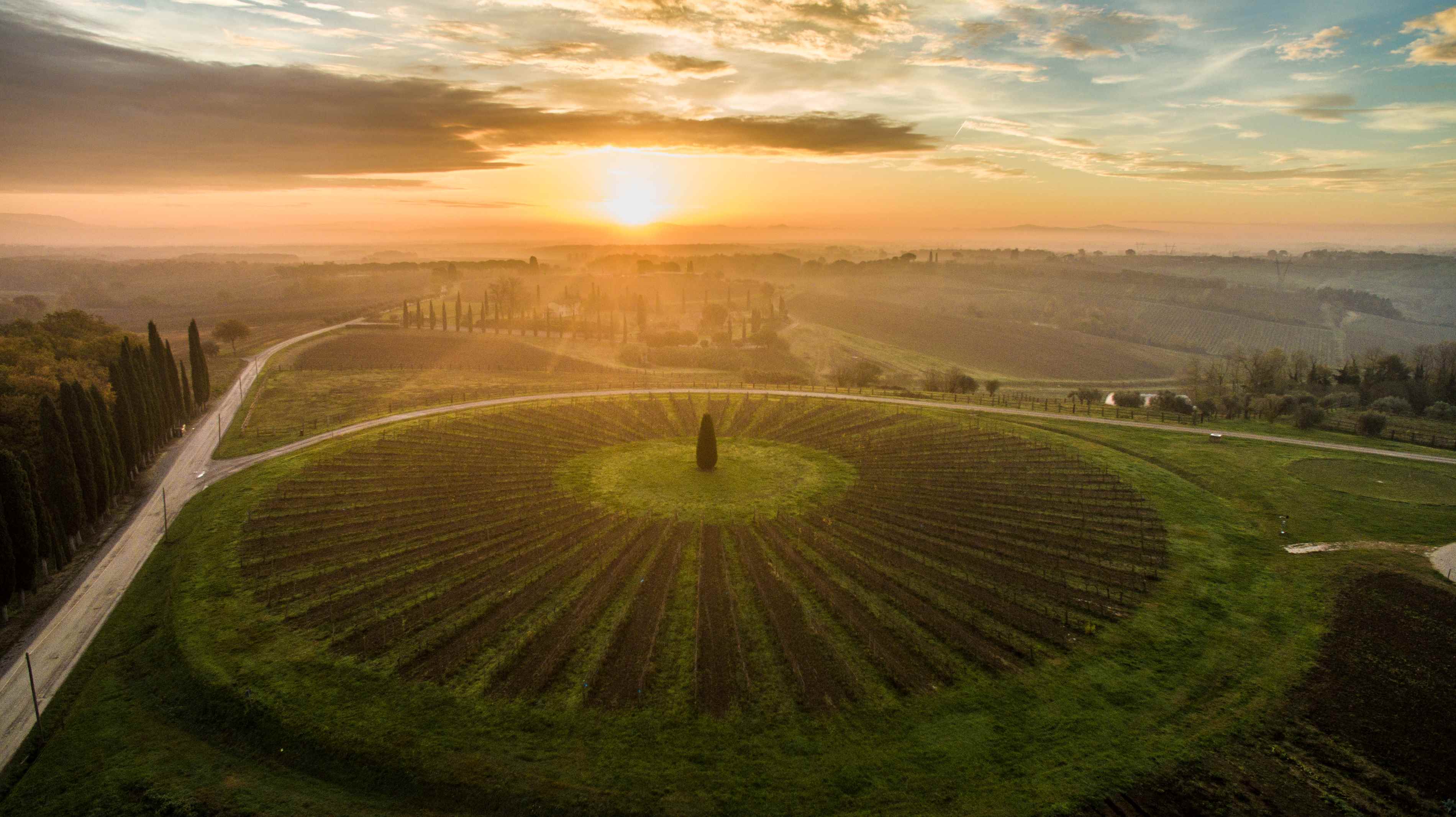 Producer Spotlight: Avignonesi