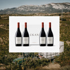 Discover UKAN Winery – A New Vision for Rioja Alavesa