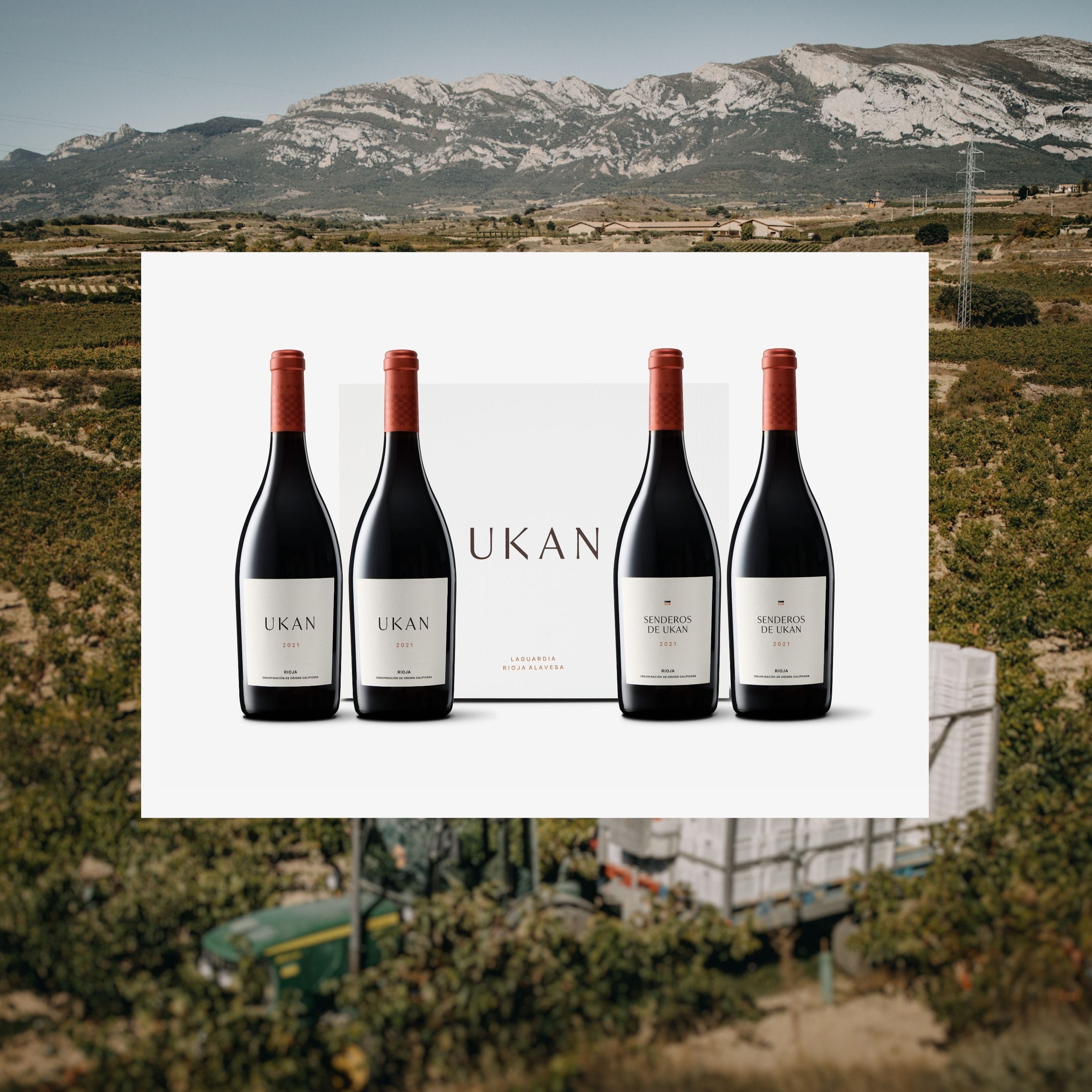 Discover UKAN Winery – A New Vision for Rioja Alavesa