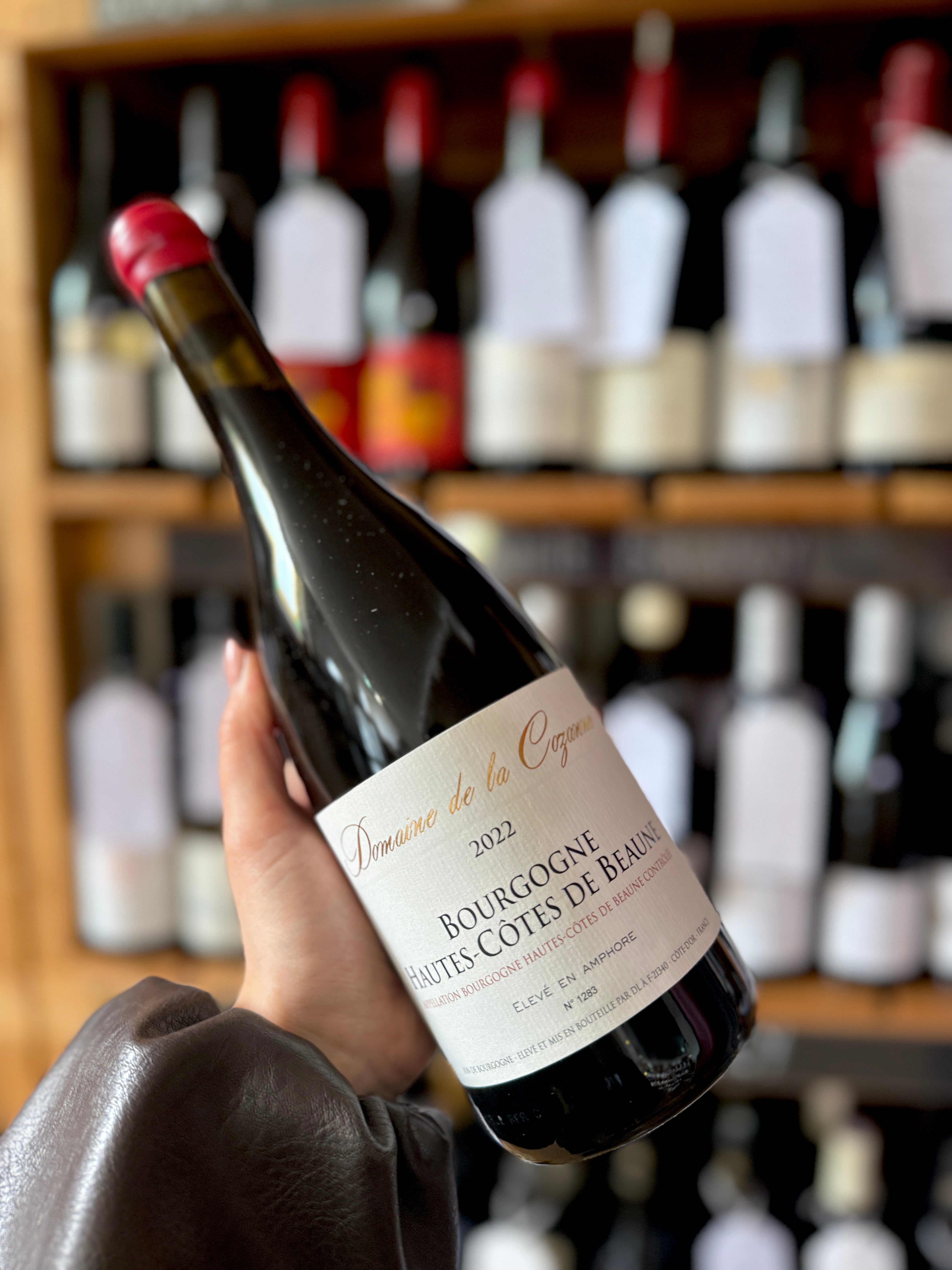 Hautes Cotes de Beaune Rouge En Amphore, Domaine Cozanne