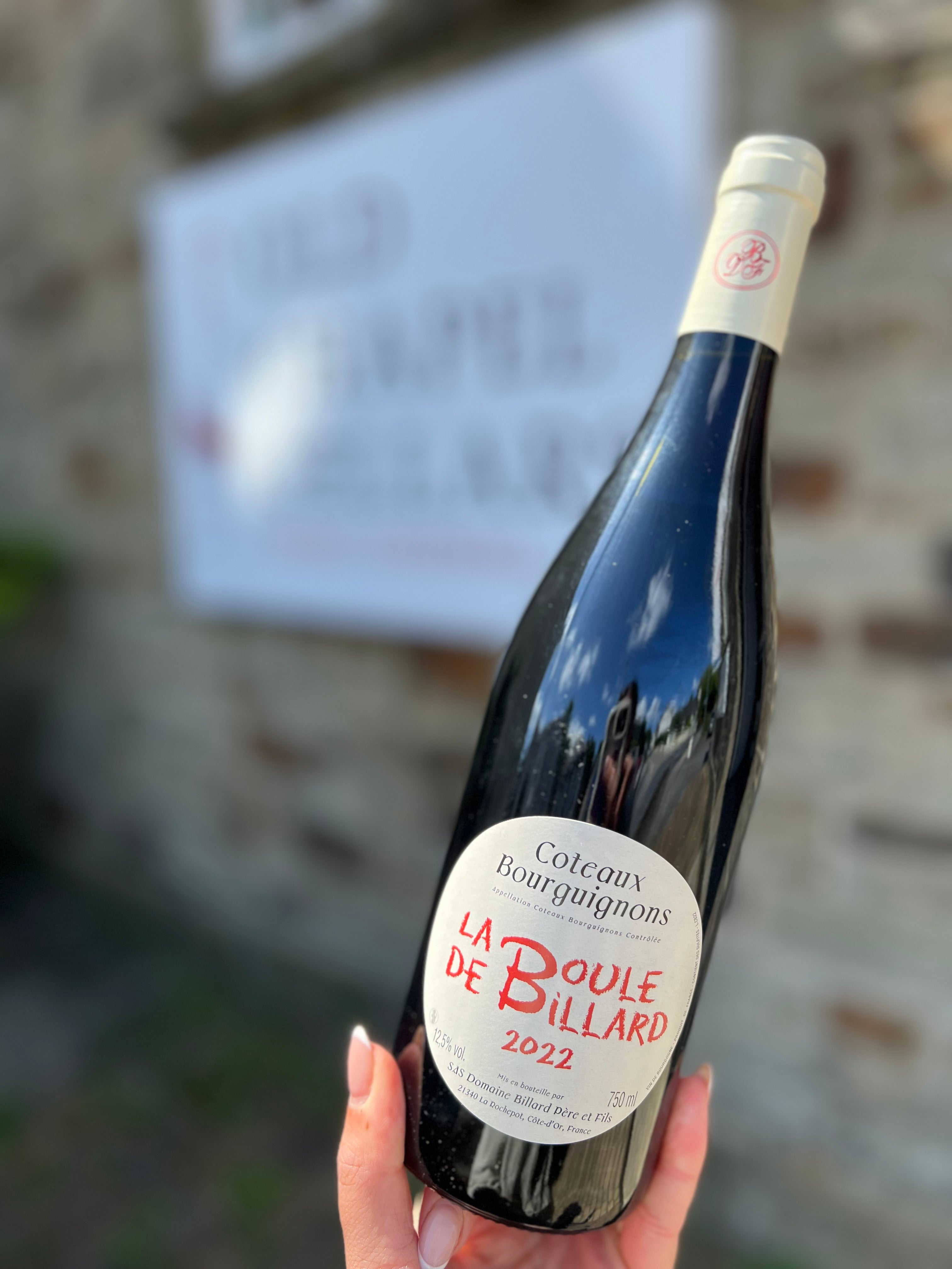 La Boule de Billard, Coteaux Bourguignons Rouge, Domaine Billard Pere & Fils
