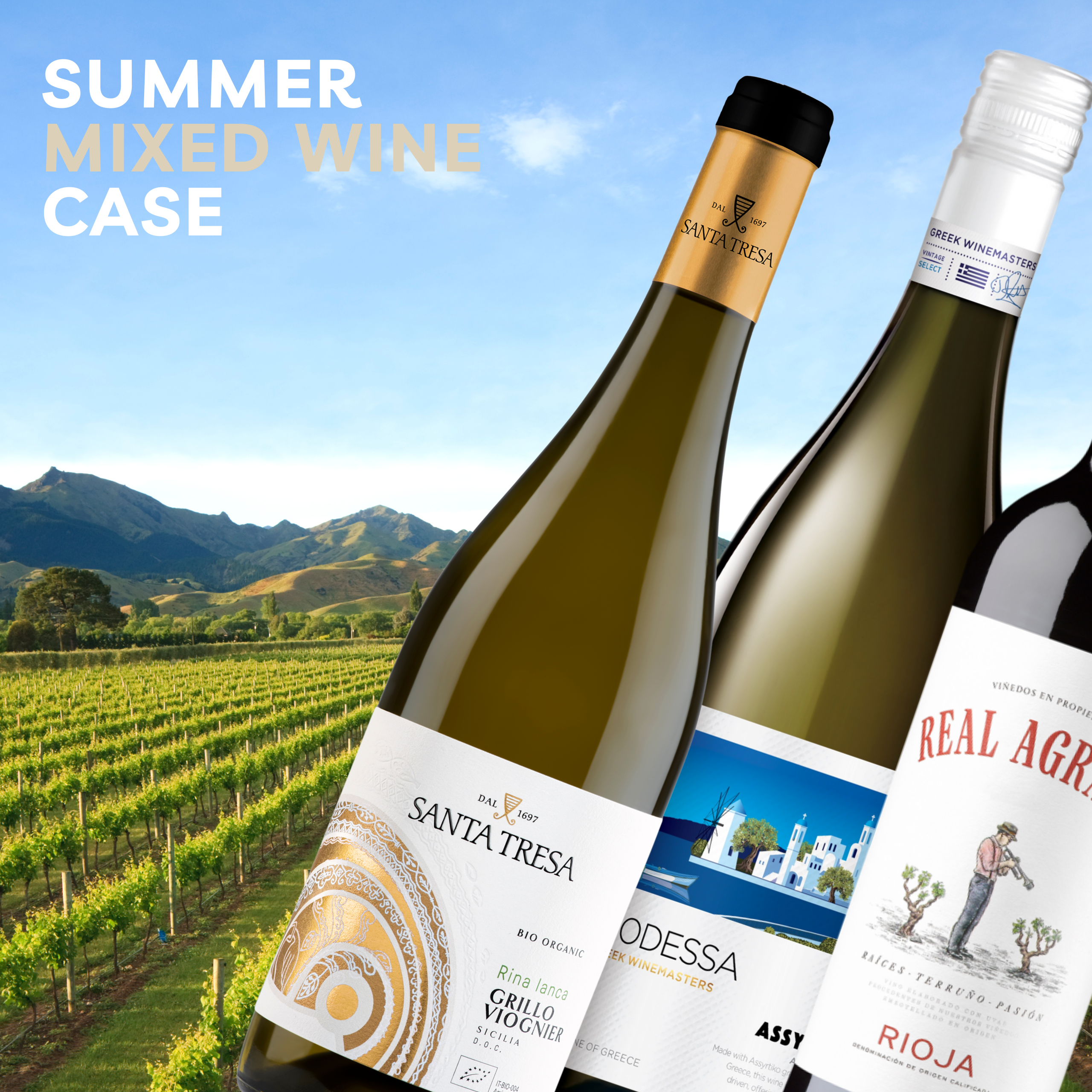 Summer Mixed Wine Case