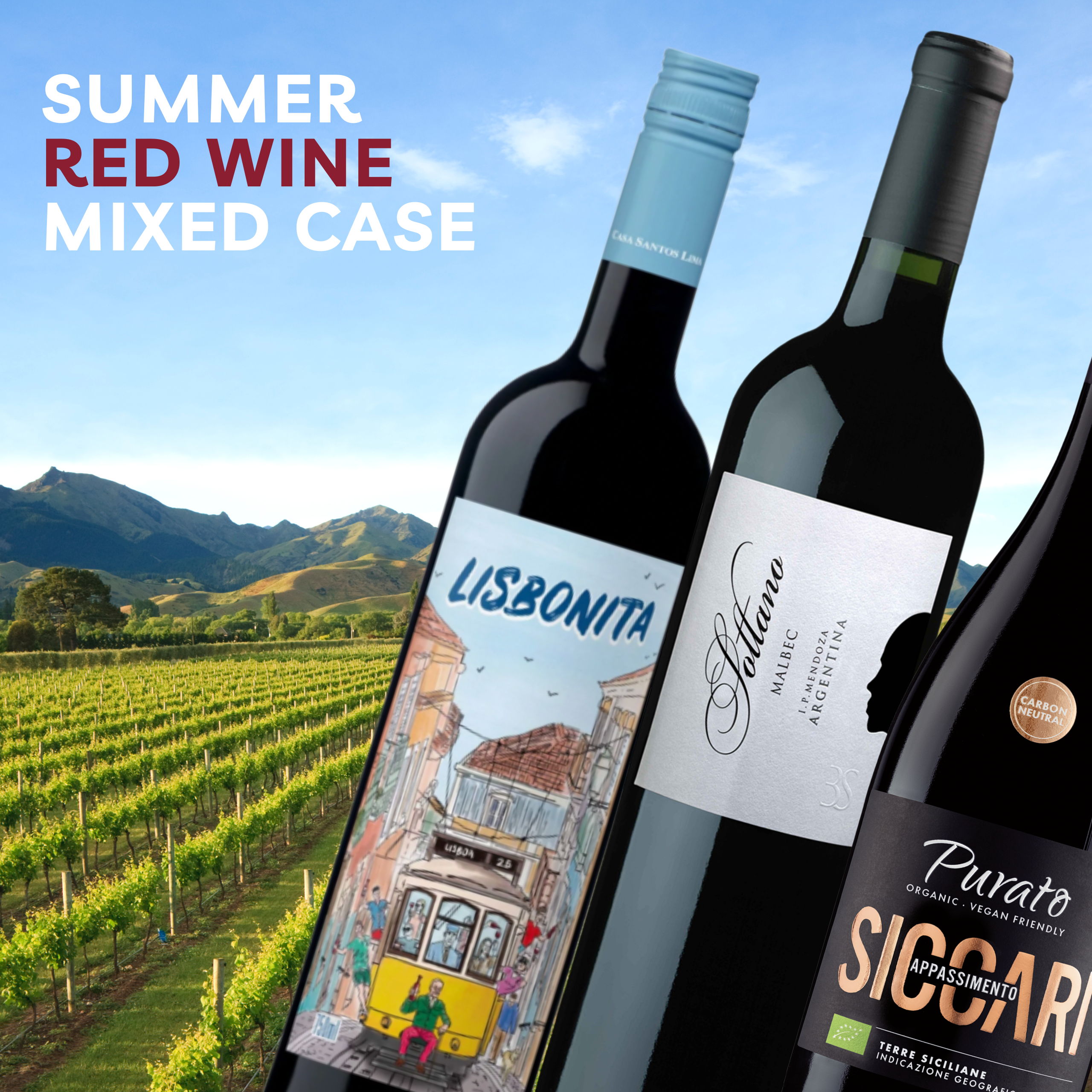 Summer Red Mixed Case