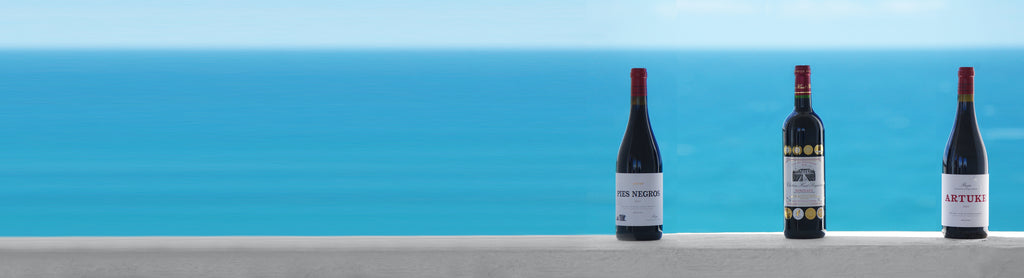 Spanish and Bordeaux wine taken at Cornwalls Fistral Beach inside a little white hut.  